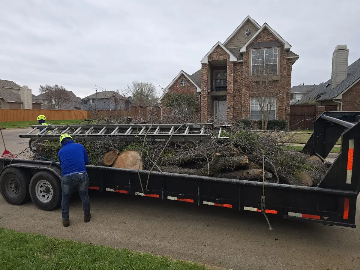 Expert Tree Pest Control with proper safety equipment in El Segundo